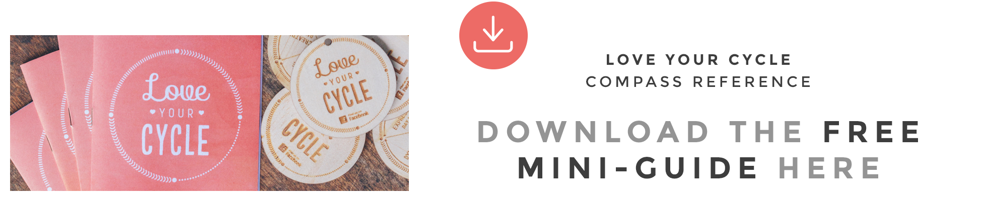 MiniGuideEbook