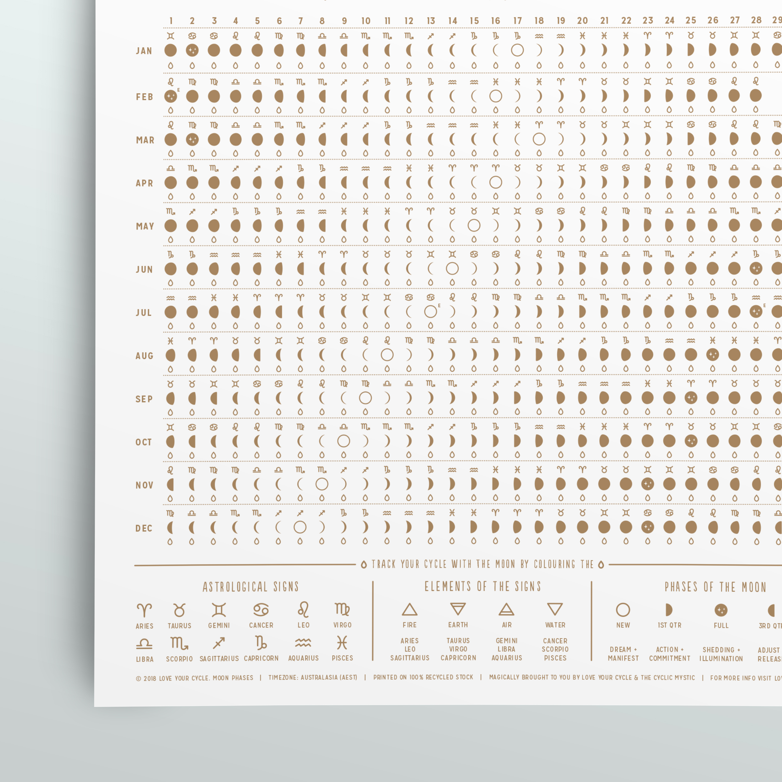 Mockup6